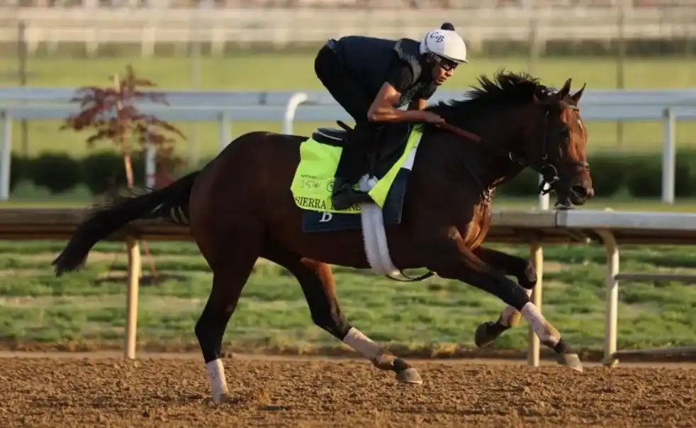 Training in California horse racing