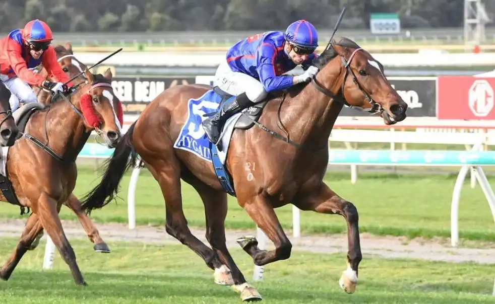 Geelong race track