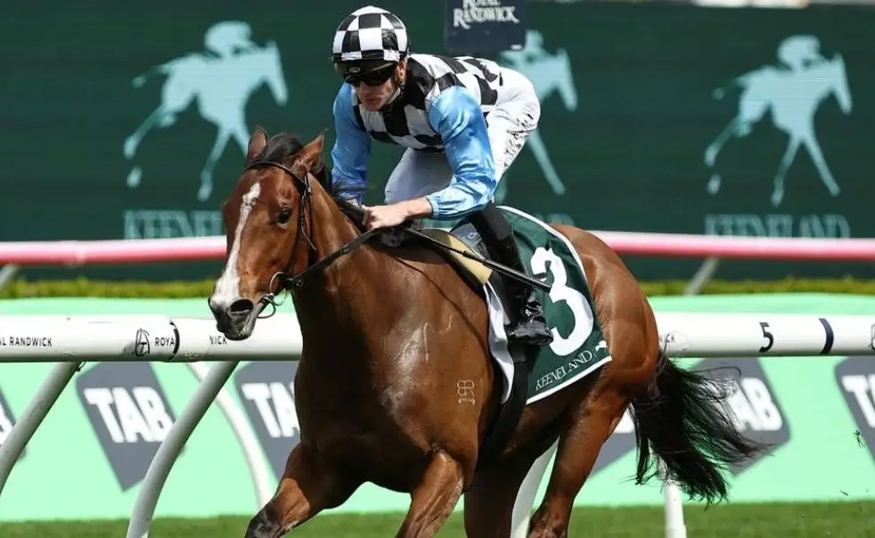 Aiming for a Golden Slipper campaign | Royal Randwick Trials