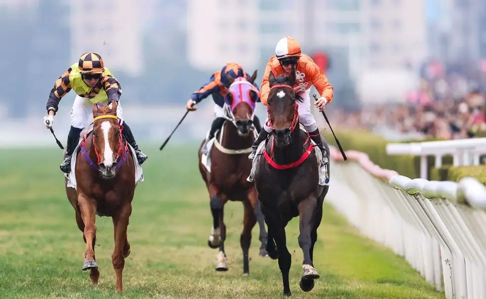 Spectators at New Year's Day races