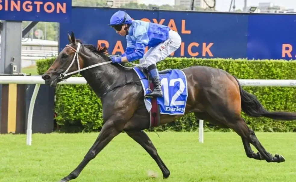 Kia Ora breeding excellence - randwick