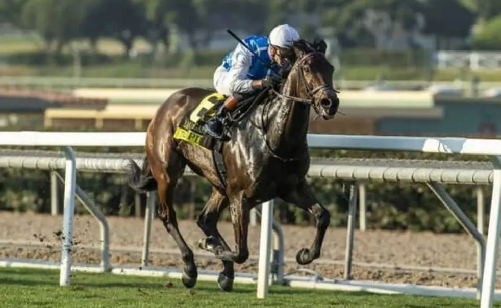 Toupie crosses the finish line first in Santa Anita race track