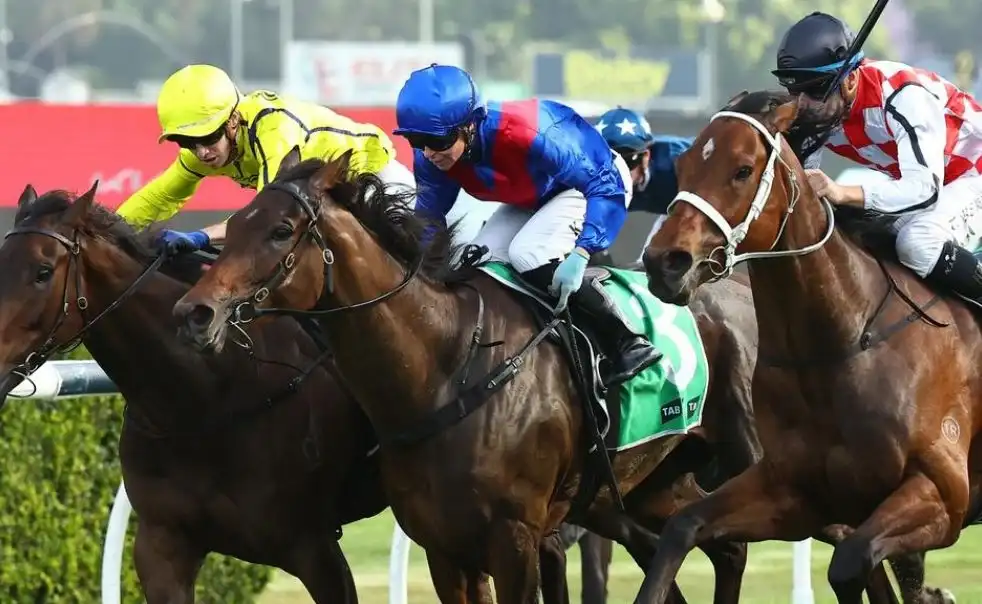 Trainer John Sargent at Wyong Race Club | Central Coast