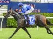 Kia Ora breeding excellence - randwick