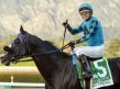 Newgrange set for the Pegasus World Cup