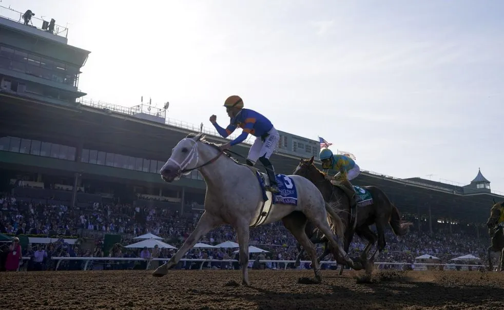 Santa Anita Park racecourse in action