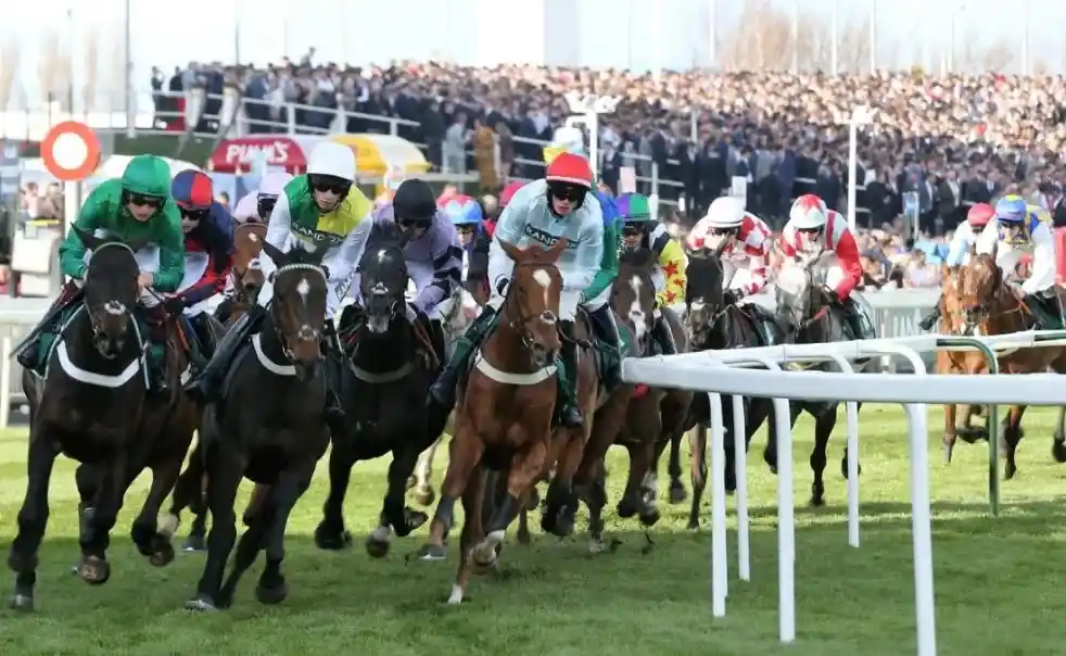 Watch Live UK Horse Racing in real-time