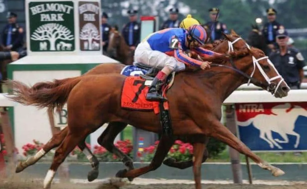 Thoroughbred racehorses in training