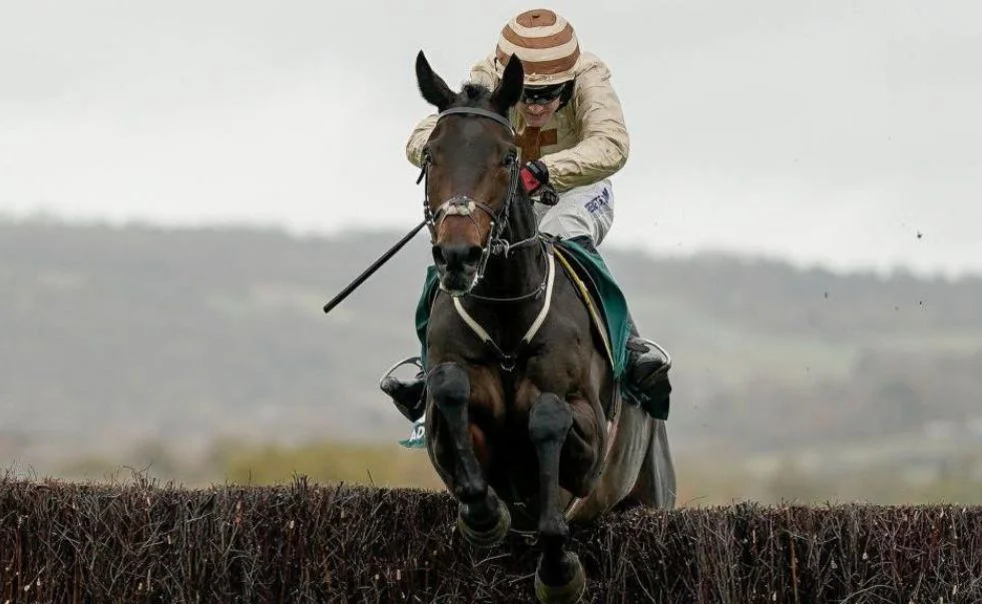 Broadway Boy clearing race