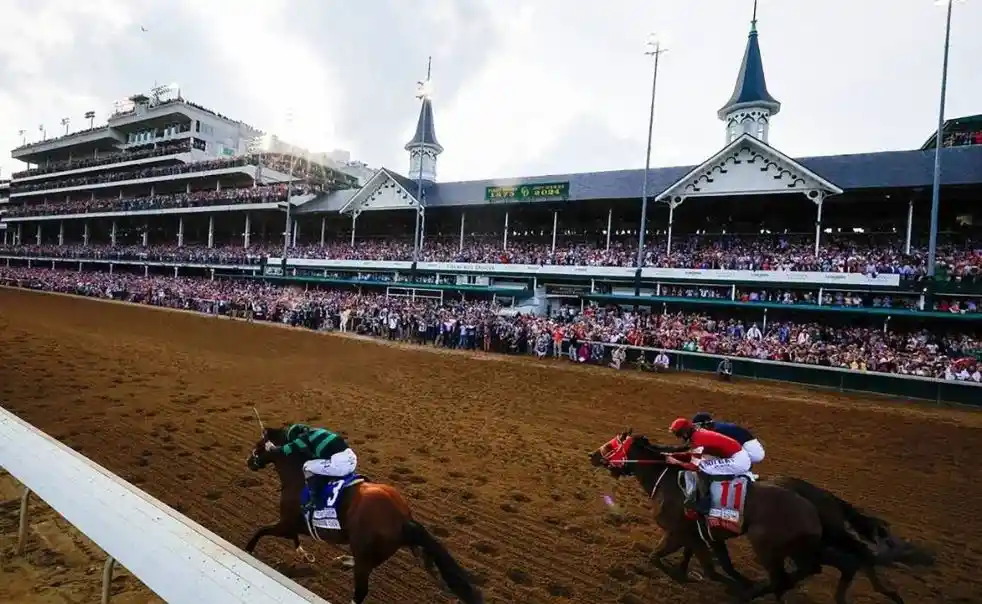 Assess Horse Racing Conditions