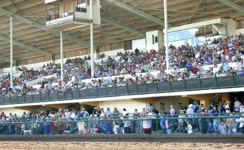 Fans react to Fresno Horse Racing