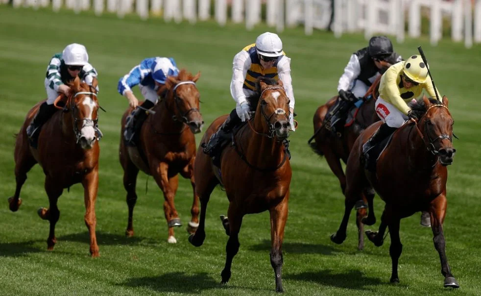 Docklands leading the field