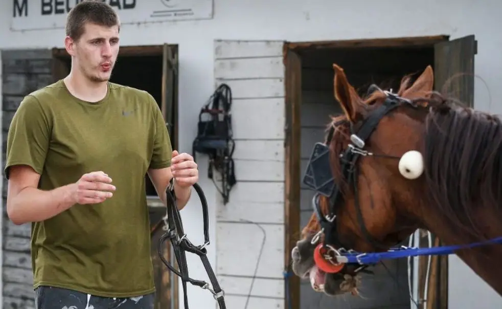 Nikola Jokic Horse in event