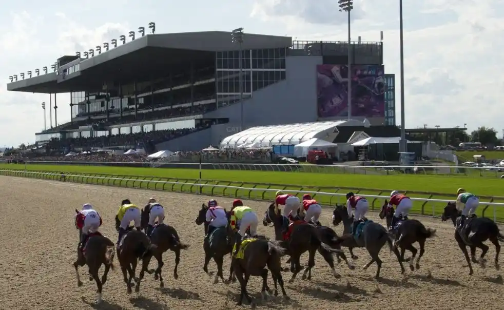 Sandown Park event