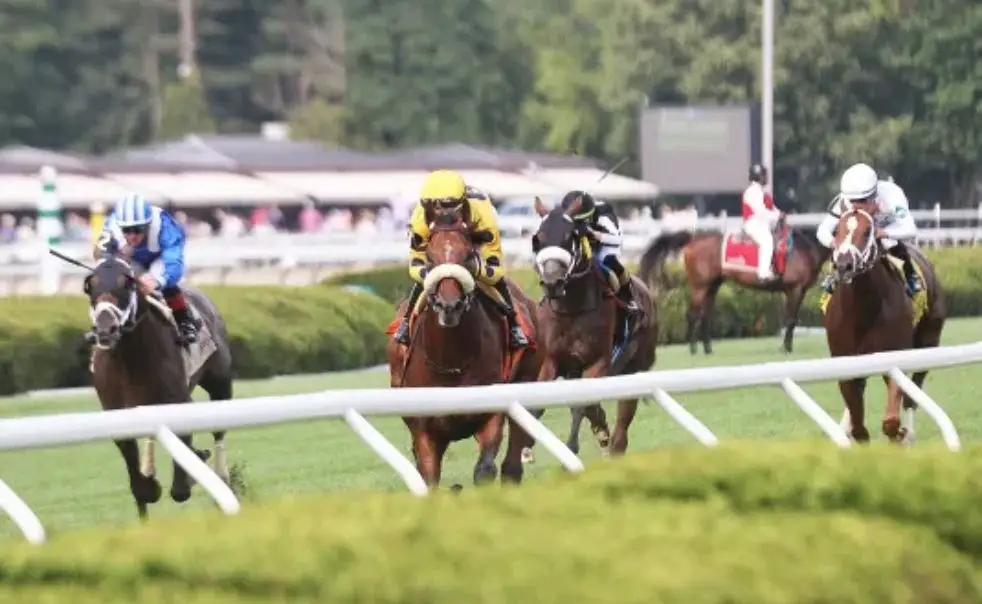 Saratoga Springs during race season