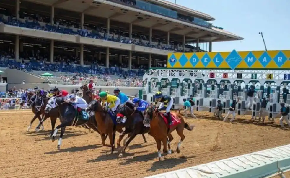 Uncrowned King shown during warm-up