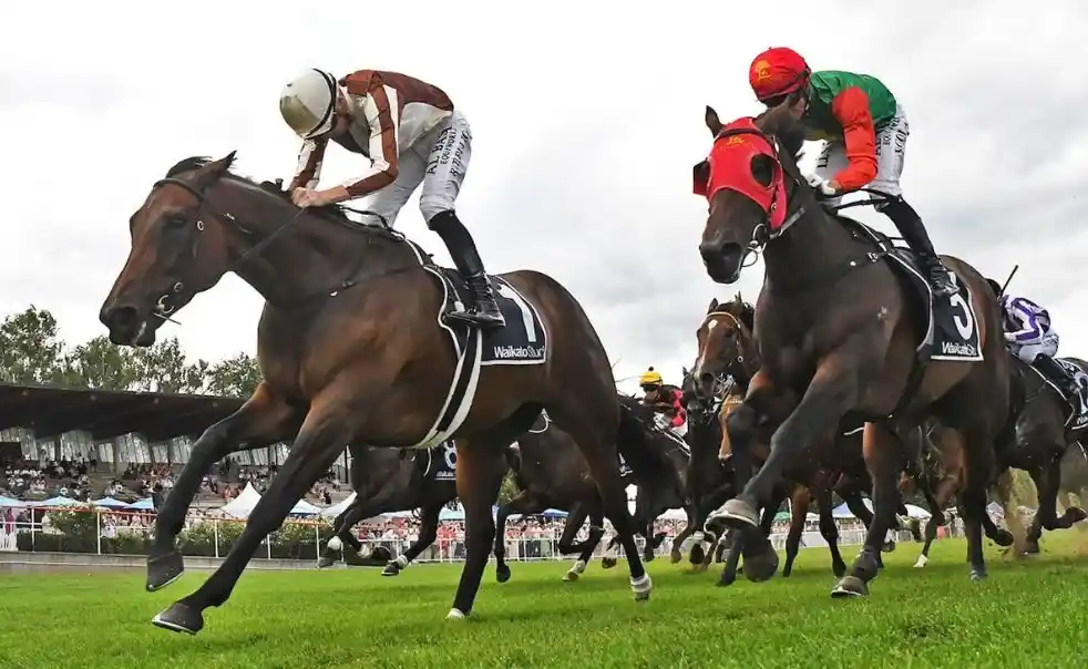 Kelso racing update