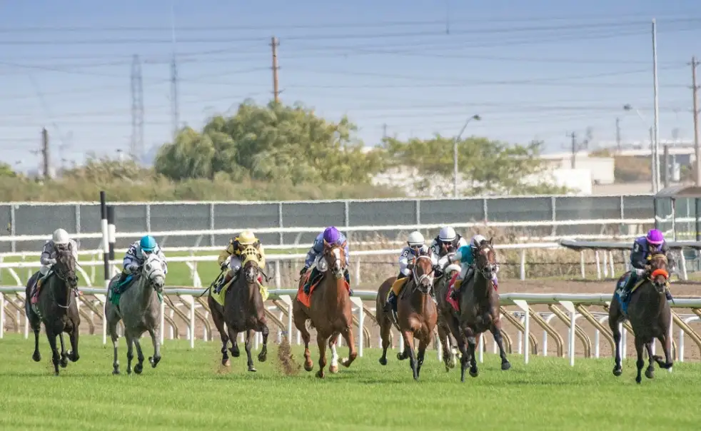 European horse racing finals