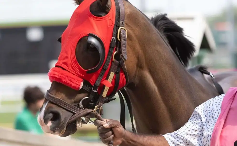 Mercante during a Kentucky race