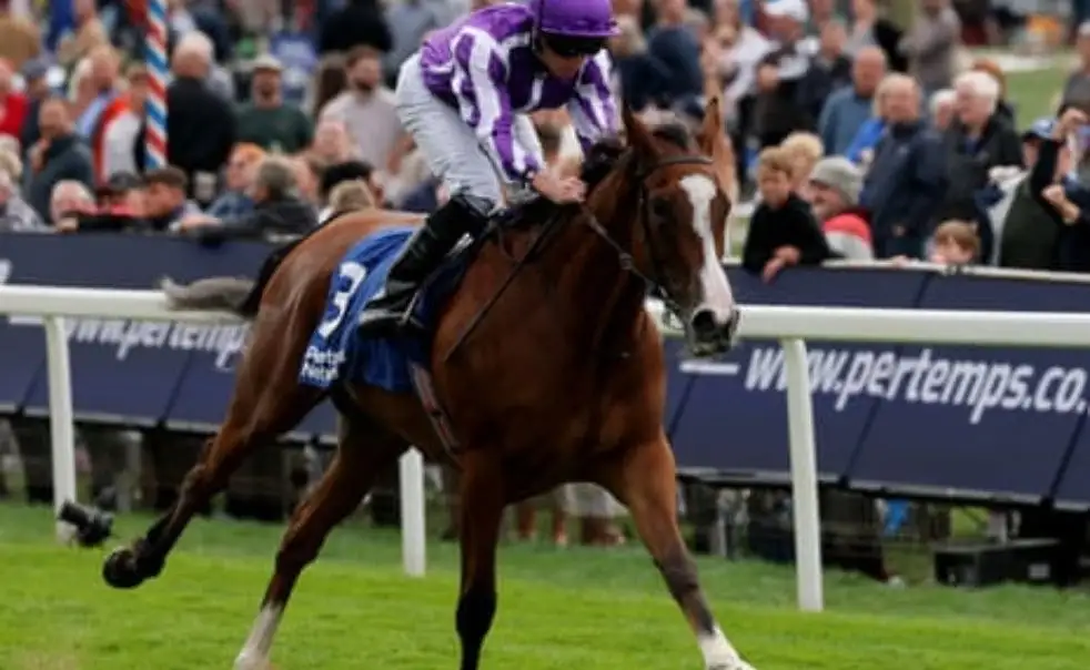 Ryan Moore riding a racehorse