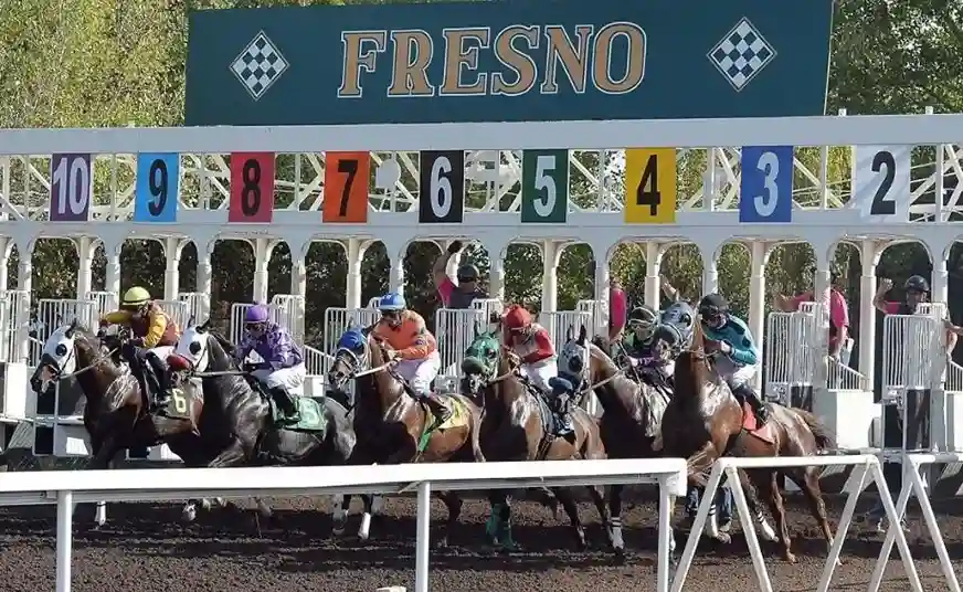 Live Racing competition
