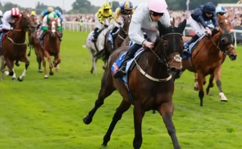 British horse racing action