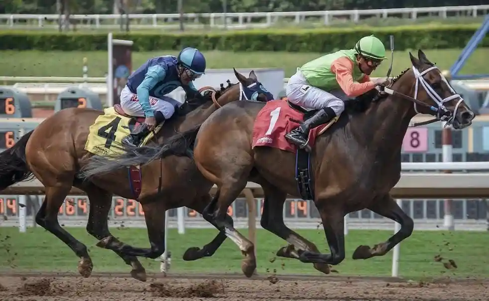 Hong Kong Jockey Club event