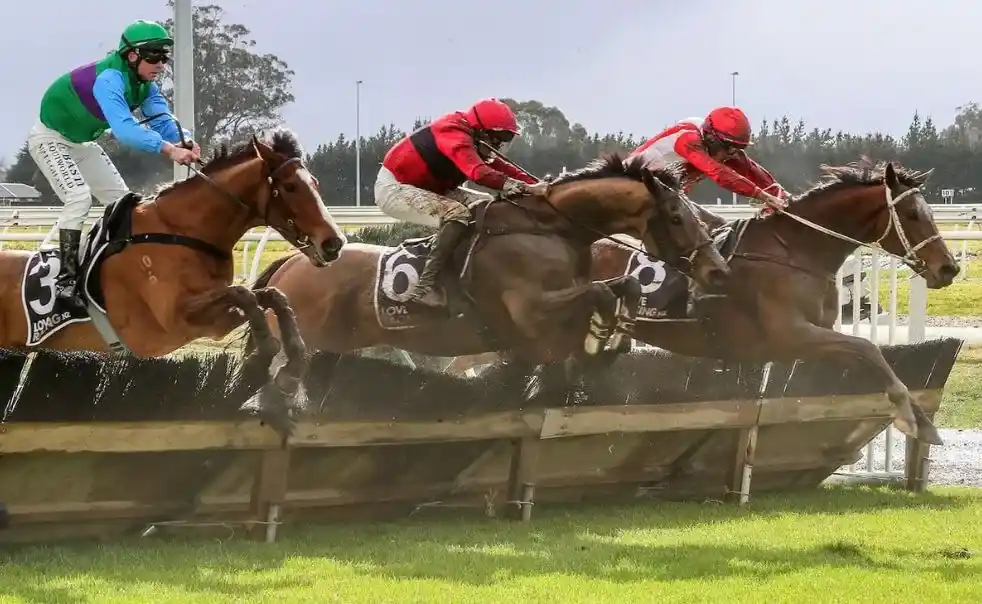 Wooden hurdle on a rugged