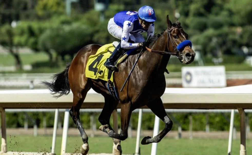 Finish-line celebration at the Breeders’ Cup