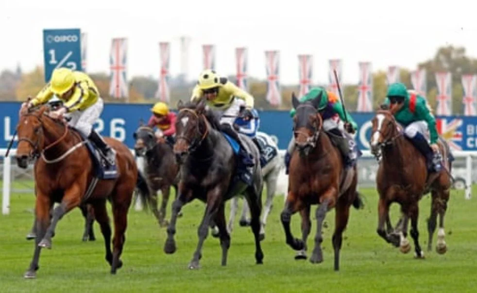 Punters checking horse racing odds