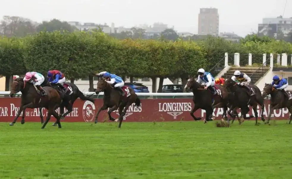 Prix de l'Arc de Triomphe 2025 race day action