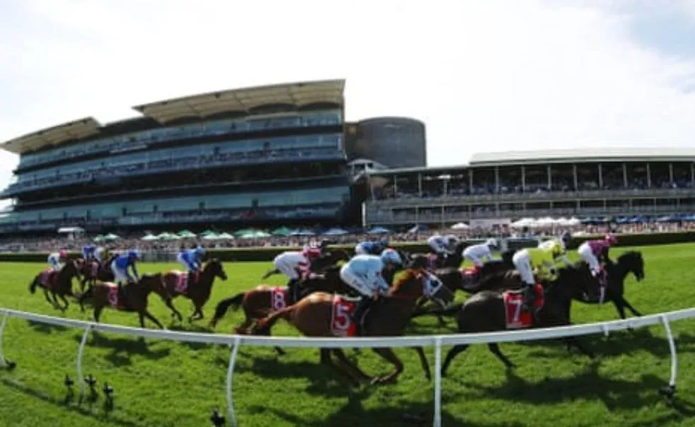 Racehorse death incident