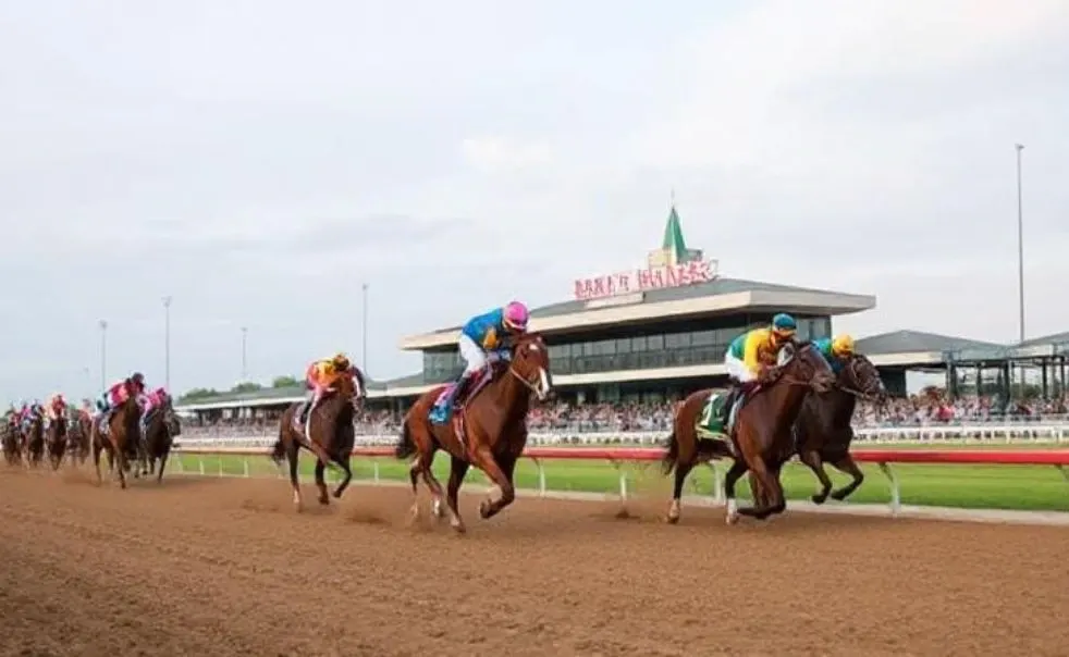 Trainer attending to Juarez
