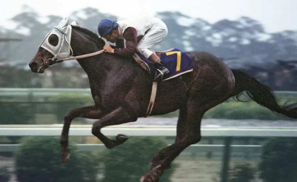 Statue of Haiseiko honored in Japan