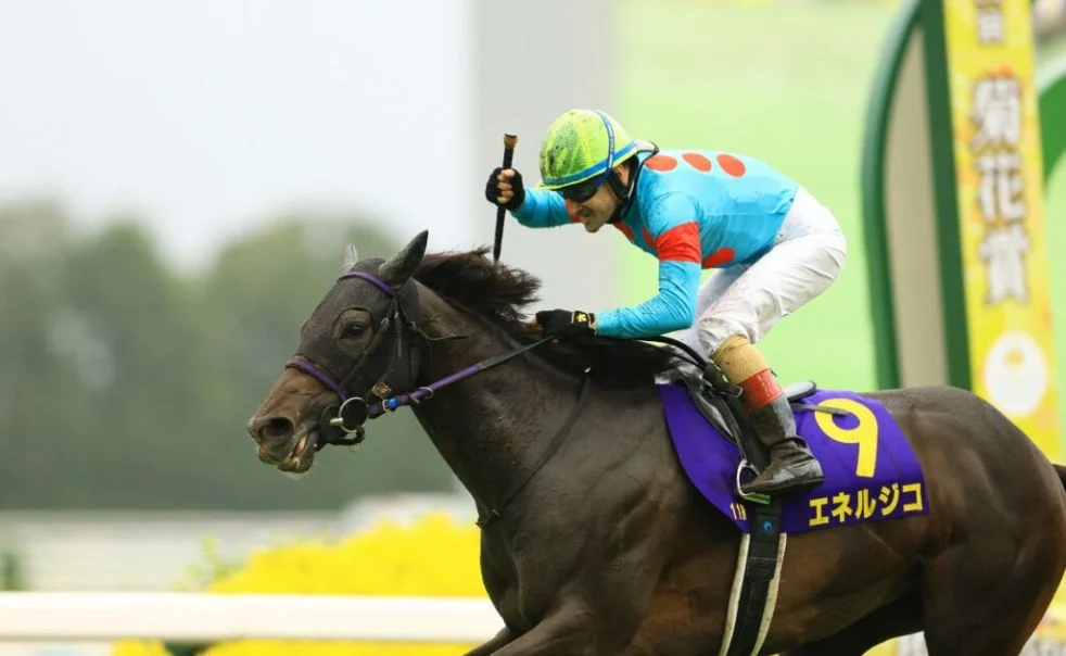 Christophe Lemaire riding a horse