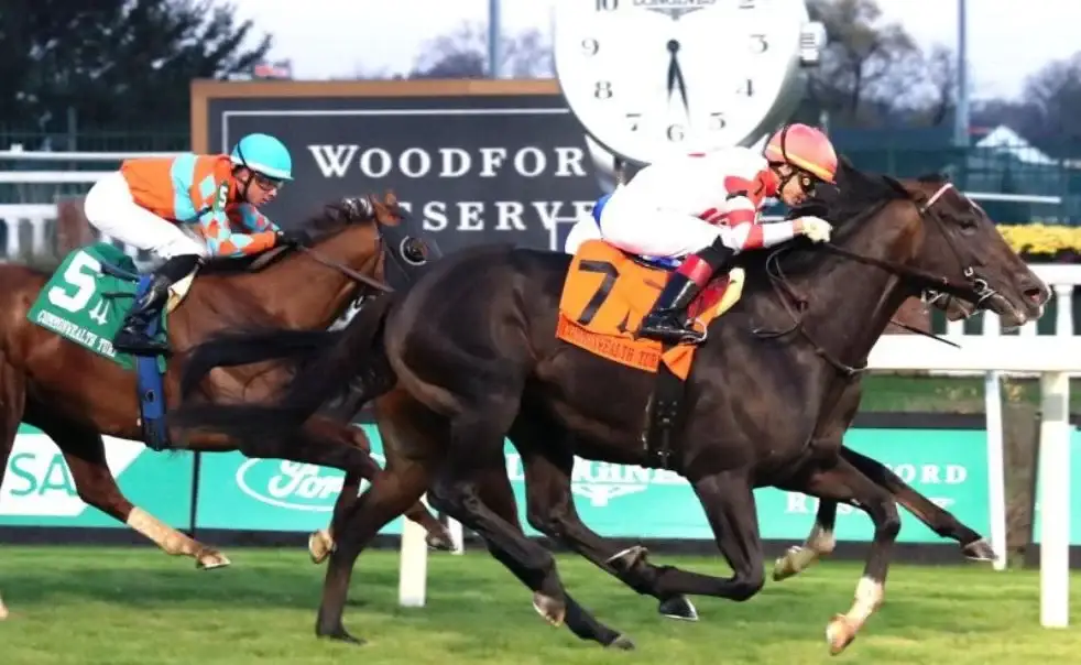 Hong Kong stars crossing the finish line
