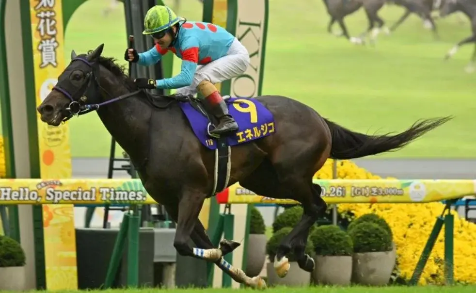 Aidan O'Brien is celebrating a victory