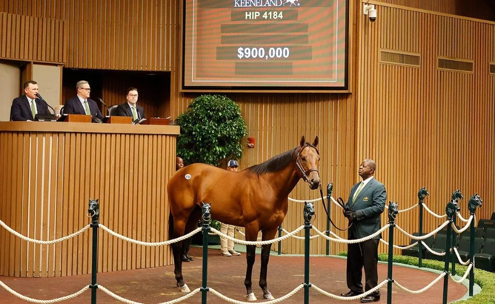 World record-breaking performance