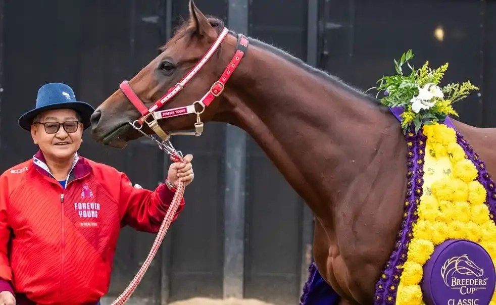 Forever Young during a high-stakes race