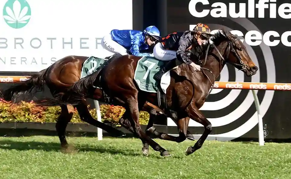 Trainer Ciaron Maher observing horses