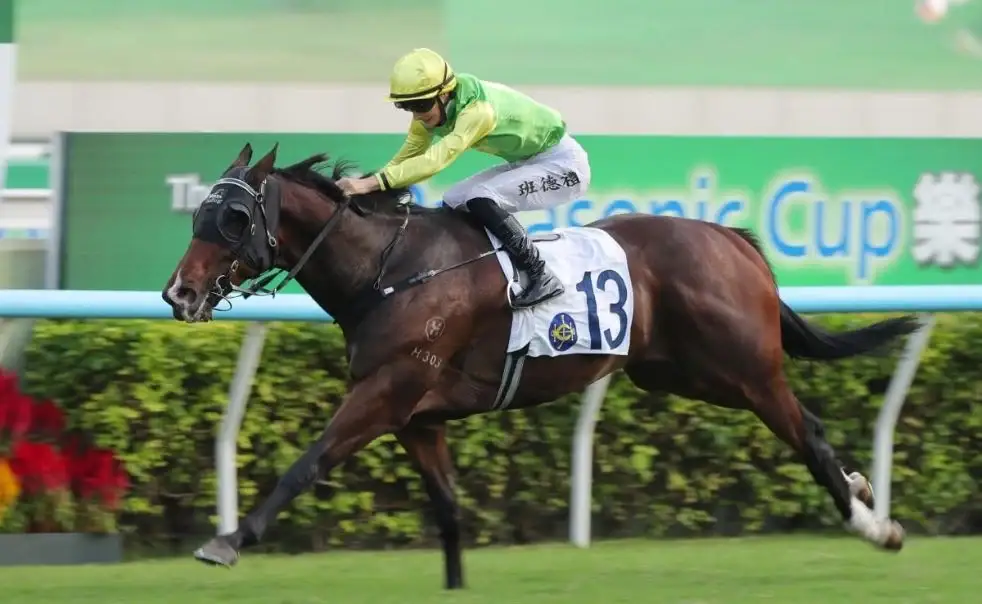 Jockey guiding Ludwig in the race